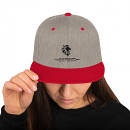 Dr. Jw Inspiration Snapback Hat